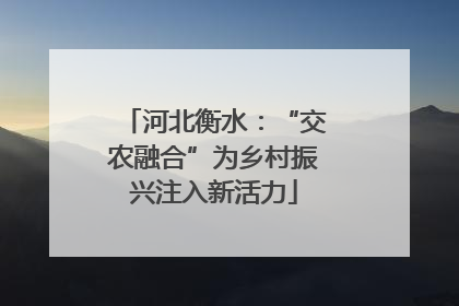 河北衡水：“交农融合”为乡村振兴注入新活力